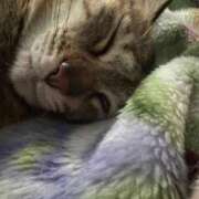 ヒメ日記 2026/04/21 08:04 投稿 あや SOAPLAND LOVE FACTORY