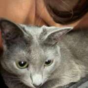 ヒメ日記 2026/04/22 10:22 投稿 あや SOAPLAND LOVE FACTORY