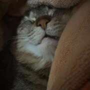 ヒメ日記 2026/04/22 10:31 投稿 あや SOAPLAND LOVE FACTORY