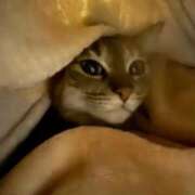 ヒメ日記 2026/04/23 23:07 投稿 あや SOAPLAND LOVE FACTORY