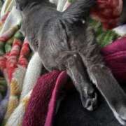 ヒメ日記 2026/04/24 11:12 投稿 あや SOAPLAND LOVE FACTORY