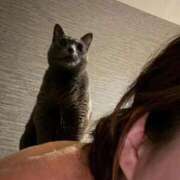 ヒメ日記 2026/04/25 05:22 投稿 あや SOAPLAND LOVE FACTORY