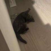 ヒメ日記 2026/04/27 11:14 投稿 あや SOAPLAND LOVE FACTORY