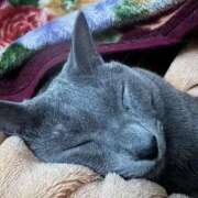 ヒメ日記 2026/04/28 11:12 投稿 あや SOAPLAND LOVE FACTORY