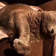 ヒメ日記 2026/05/13 05:24 投稿 あや SOAPLAND LOVE FACTORY