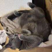 ヒメ日記 2026/05/13 11:51 投稿 あや SOAPLAND LOVE FACTORY