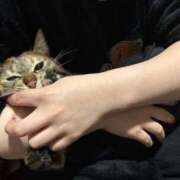 ヒメ日記 2026/05/14 08:33 投稿 あや SOAPLAND LOVE FACTORY