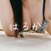 体験 はるか やっと 脱がされたい人妻 宇都宮店