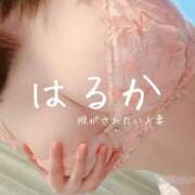 ヒメ日記 2026/05/02 09:41 投稿 はるか 脱がされたい人妻 宇都宮店