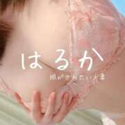 ヒメ日記 2026/07/27 10:09 投稿 はるか 脱がされたい人妻 宇都宮店
