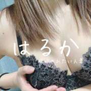 ヒメ日記 2026/09/12 13:33 投稿 はるか 脱がされたい人妻 宇都宮店