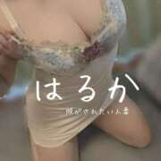 ヒメ日記 2026/09/20 09:15 投稿 はるか 脱がされたい人妻 宇都宮店