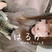 ヒメ日記 2026/09/23 18:53 投稿 はるか 脱がされたい人妻 宇都宮店