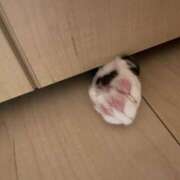 ヒメ日記 2026/09/27 08:17 投稿 はるか 脱がされたい人妻 宇都宮店
