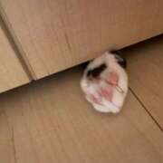 ヒメ日記 2026/09/27 08:22 投稿 はるか 脱がされたい人妻 宇都宮店
