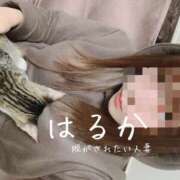 ヒメ日記 2026/10/12 10:33 投稿 はるか 脱がされたい人妻 宇都宮店