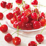 ヒメ日記 2026/02/15 21:10 投稿 宇高由紀子 五十路マダム 徳島店