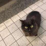 ヒメ日記 2026/02/17 21:11 投稿 かおり イエスグループ熊本 TSUBAKI(ツバキ)