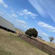 ヒメ日記 2026/03/14 22:57 投稿 かおり イエスグループ熊本 TSUBAKI(ツバキ)