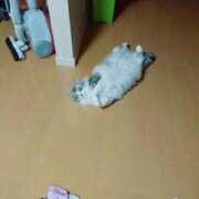 ヒメ日記 2026/05/12 13:44 投稿 かおり イエスグループ熊本 TSUBAKI(ツバキ)