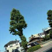 ヒメ日記 2026/05/15 09:40 投稿 かおり イエスグループ熊本 TSUBAKI(ツバキ)