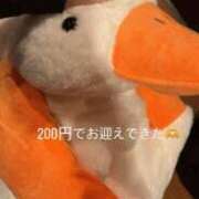 ヒメ日記 2026/05/21 20:26 投稿 かおり イエスグループ熊本 TSUBAKI(ツバキ)