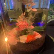 市井さやか おはよ（｡･ω･｡） クラブレア南大阪