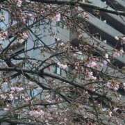 ヒメ日記 2026/02/24 11:15 投稿 ゆめ 船橋・西船橋ちゃんこ