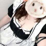 なぎさ お久しぶりです！ 船橋・西船橋ちゃんこ