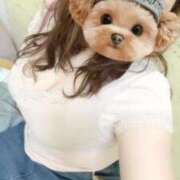 ヒメ日記 2026/04/29 11:02 投稿 なぎさ 船橋・西船橋ちゃんこ