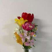 ヒメ日記 2026/02/16 20:17 投稿 るな 秋葉原鑑賞ガール