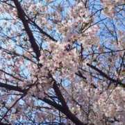 松山えり★ドキッとする色白美肌 お久しぶりです🌸 PLAY