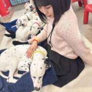 ヒメ日記 2026/02/08 18:50 投稿 のぞみ アラビアンナイト