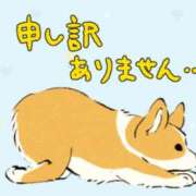 ヒメ日記 2026/03/24 12:05 投稿 のぞみ アラビアンナイト