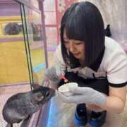 ヒメ日記 2026/06/02 12:02 投稿 のぞみ アラビアンナイト