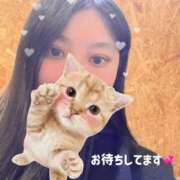 ヒメ日記 2026/02/03 14:55 投稿 きら ナチュラルプリンセス