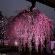 ヒメ日記 2026/03/24 10:21 投稿 みお スピード難波店