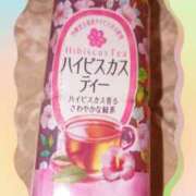 ヒメ日記 2026/02/19 16:56 投稿 白石野乃花 五十路マダム 郡山店