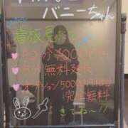 ヒメ日記 2026/03/08 20:02 投稿 みみ ドMなバニーちゃん徳島店