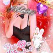 ヒメ日記 2026/02/28 11:30 投稿 ゆのん ドMなバニーちゃん徳島店