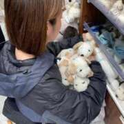 ヒメ日記 2026/02/16 11:02 投稿 沢田　りか 未熟な人妻