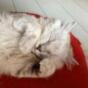 ヒメ日記 2026/03/25 11:08 投稿 沢田　りか 未熟な人妻