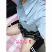 ヒメ日記 2026/02/16 20:04 投稿 はるな アート姫