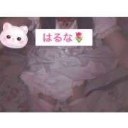 ヒメ日記 2026/02/22 22:22 投稿 はるな アート姫