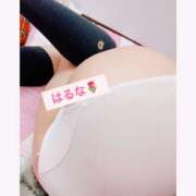 ヒメ日記 2026/03/04 14:51 投稿 はるな アート姫