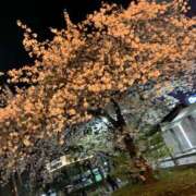ヒメ日記 2026/04/07 15:03 投稿 はるな アート姫