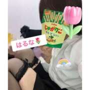 ヒメ日記 2026/05/04 08:29 投稿 はるな アート姫