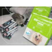 ヒメ日記 2026/04/04 14:33 投稿 ゆらこ。 五反田痴女性感フェチ倶楽部