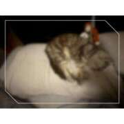 ヒメ日記 2026/04/06 06:13 投稿 ゆらこ。 五反田痴女性感フェチ倶楽部