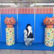 月見うどん 2回目🌟 ブルーバード